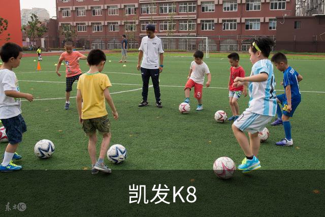 凯发K8公司简介